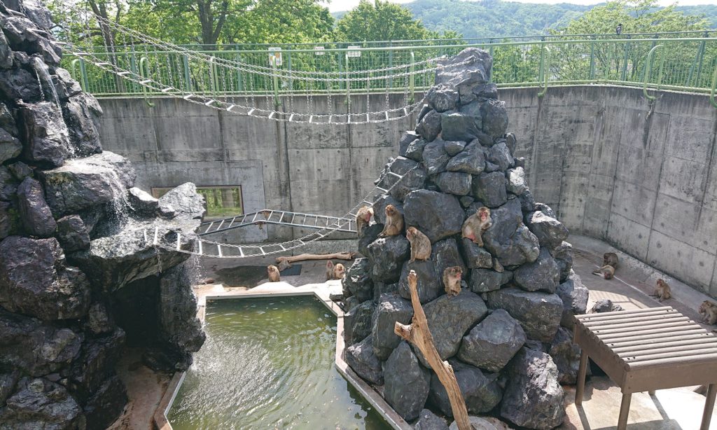 旭ヶ丘公園サル山